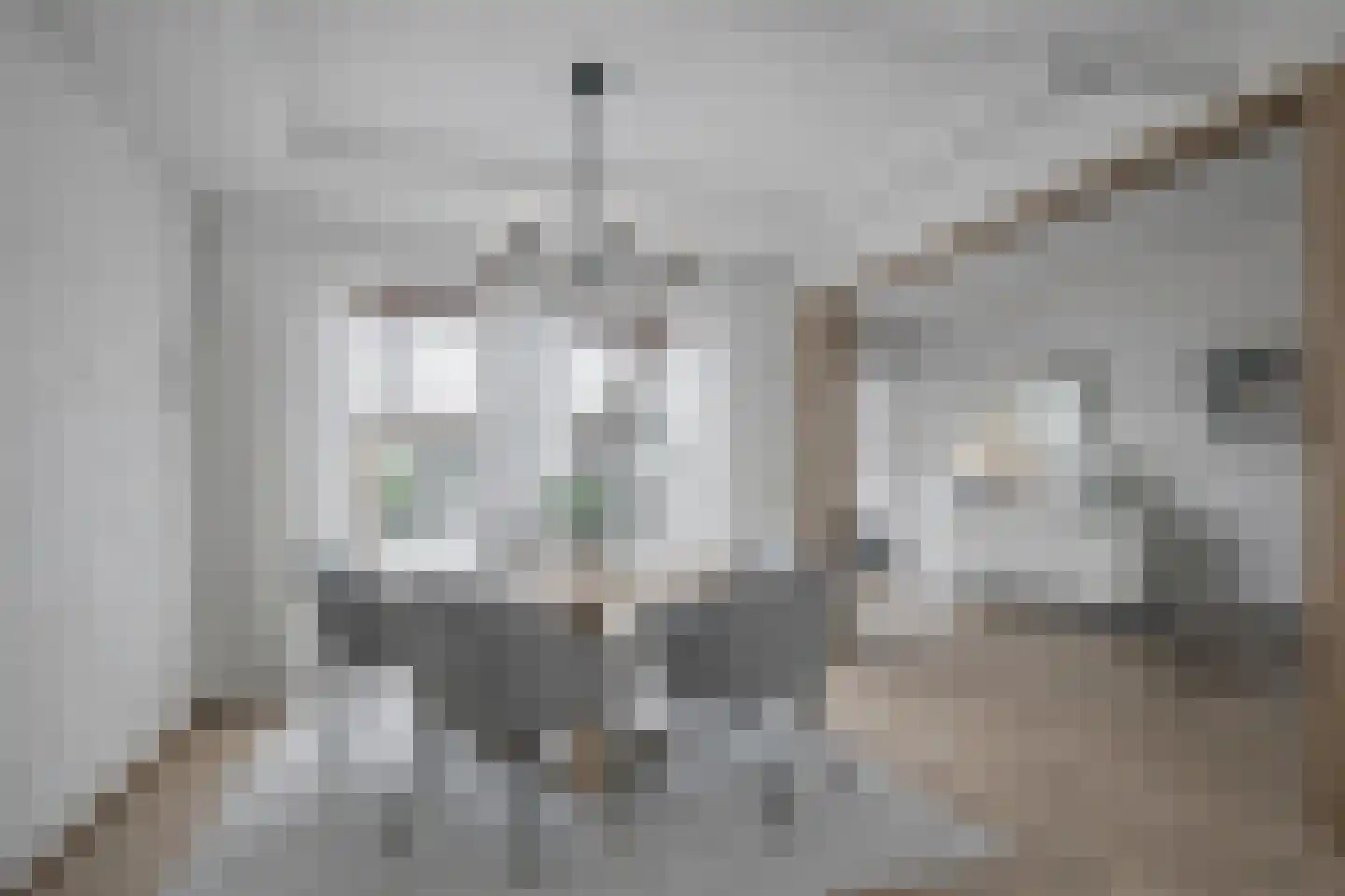 1e Graaf van Loonstraat 55 Venlo thumbnail 7