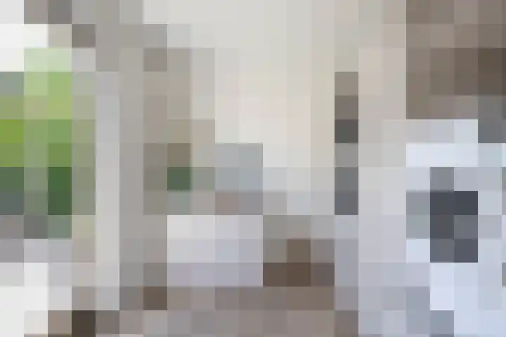 1e Havendwarsstraat 15 Lisse thumbnail 15