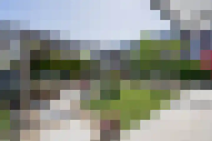 1e Havendwarsstraat 15 Lisse thumbnail 41