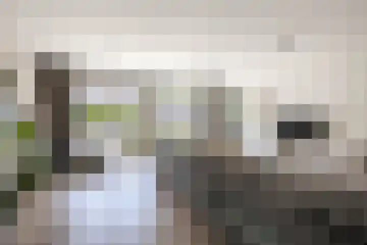 1e Havendwarsstraat 15 Lisse thumbnail 5