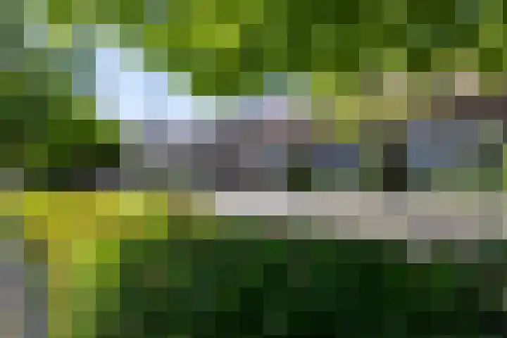 1e Havendwarsstraat 15 Lisse thumbnail 55