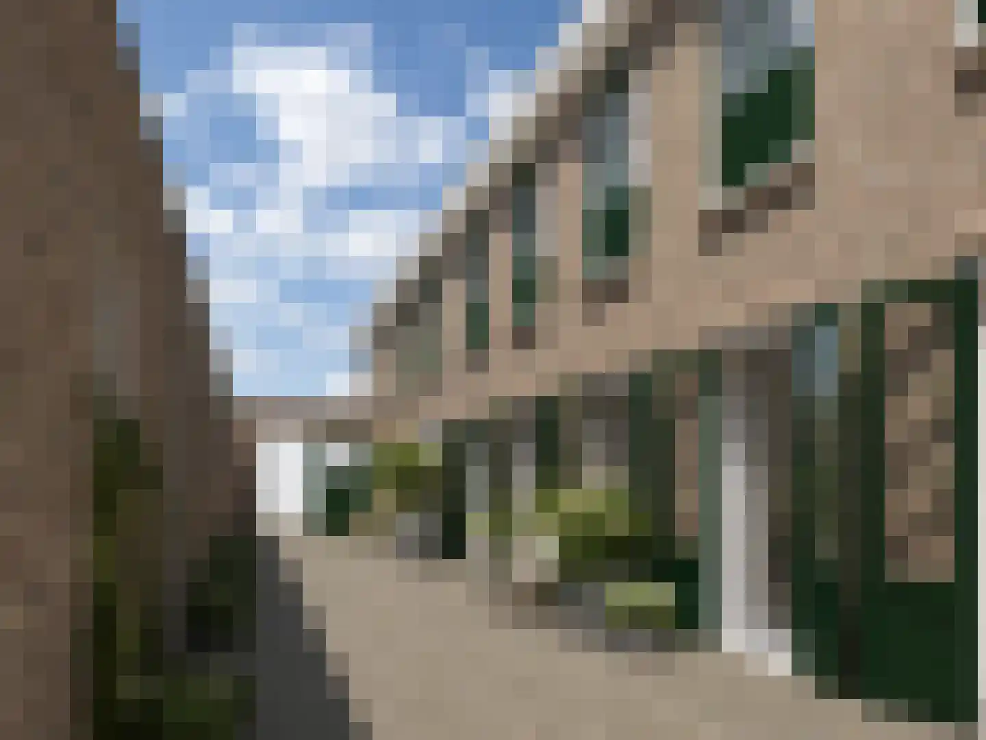 1e Havendwarsstraat 4 Lisse foto 2