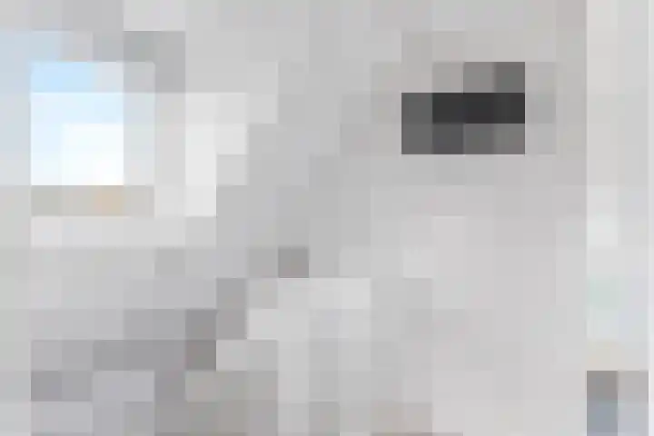 1e Heezerlaantje 2 Soest thumbnail 32