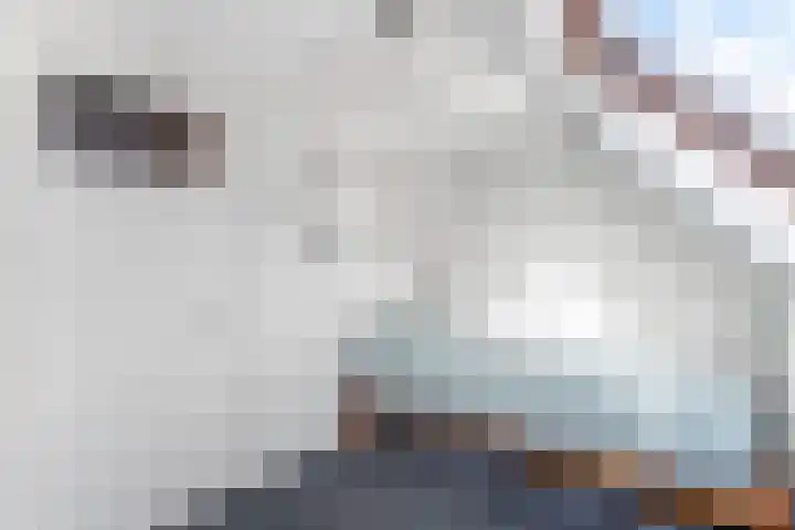 1e Heezerlaantje 2 Soest thumbnail 33