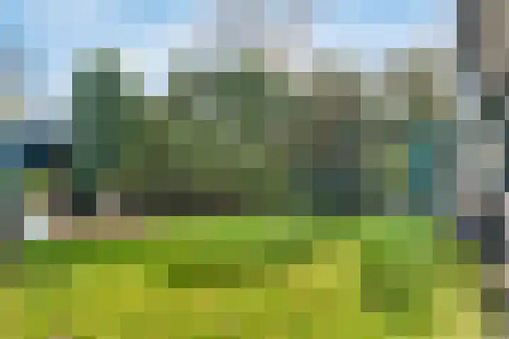 1e Heezerlaantje 2 Soest thumbnail 36
