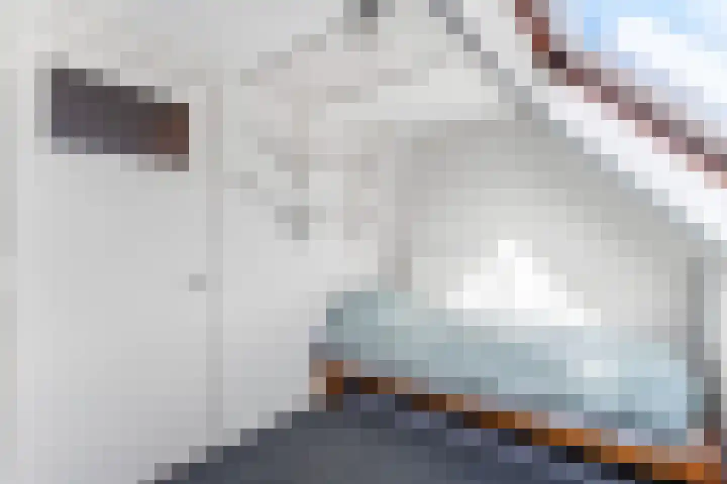 1e Heezerlaantje 2 Soest thumbnail 36