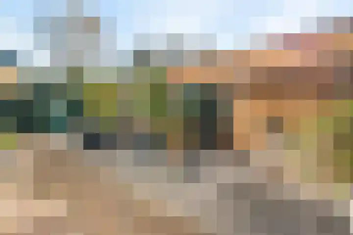 1e Heezerlaantje 2 Soest thumbnail 40