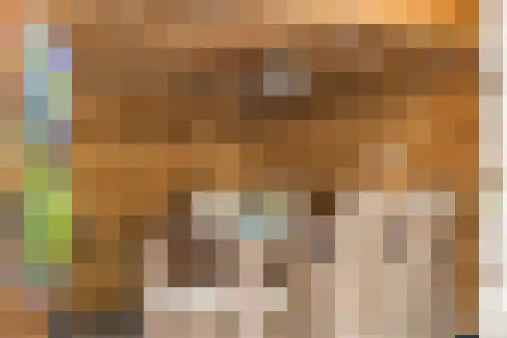1e Heezerlaantje 2 Soest thumbnail 42