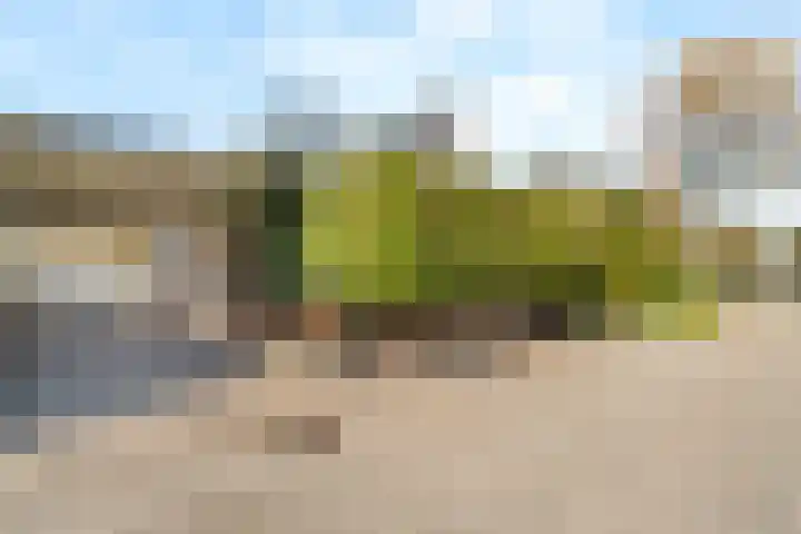 1e Heezerlaantje 2 Soest thumbnail 44