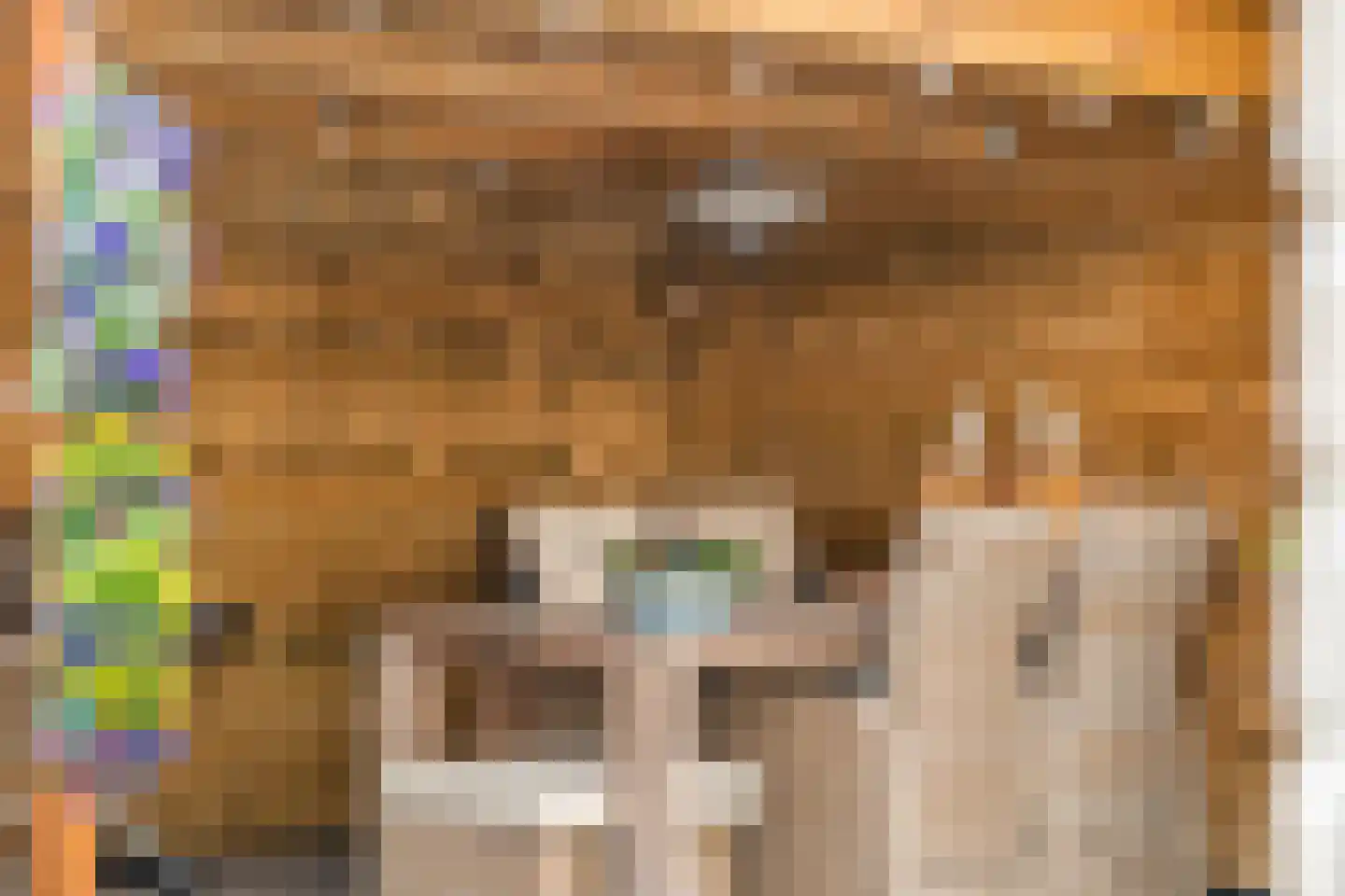 1e Heezerlaantje 2 Soest thumbnail 45