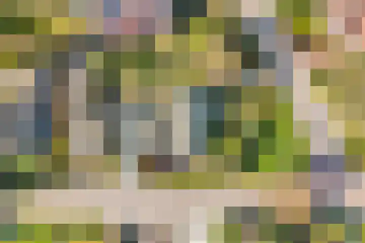 1e Heezerlaantje 2 Soest thumbnail 47