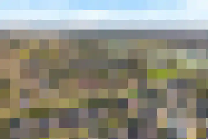 1e Heezerlaantje 2 Soest thumbnail 48