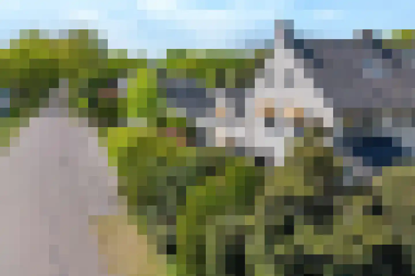 1e Heezerlaantje 2 Soest thumbnail 49