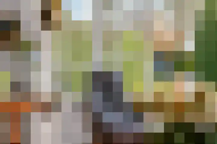 1e Heezerlaantje 2 Soest thumbnail 8