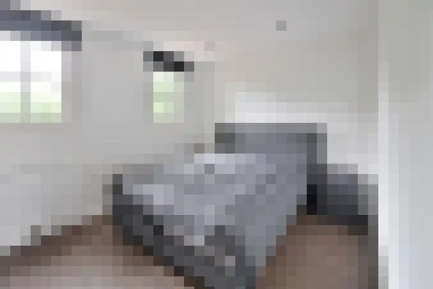 1e Heezerlaantje 3 Soest thumbnail 4