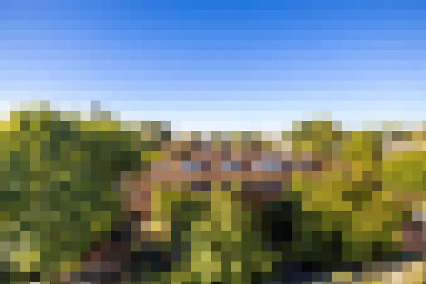 1e Hogeweg 12 K Zeist thumbnail 18