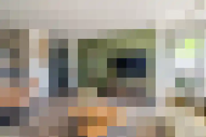 1e Hogeweg 13 C Zeist thumbnail 10