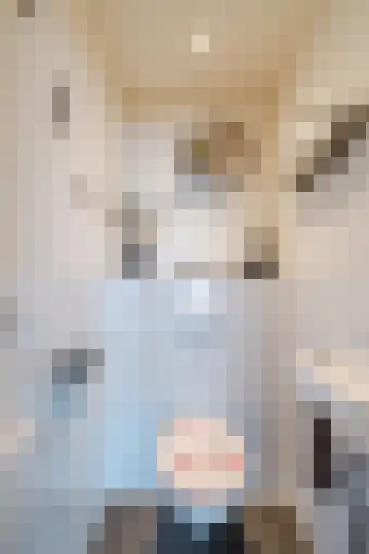1e Hogeweg 13 C Zeist thumbnail 15
