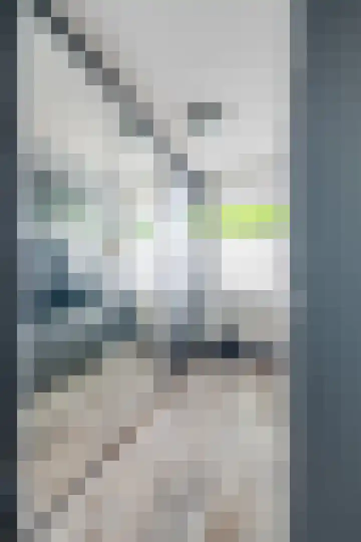 1e Hogeweg 13 C Zeist thumbnail 19