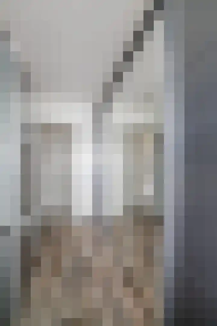 1e Hogeweg 13 C Zeist thumbnail 20