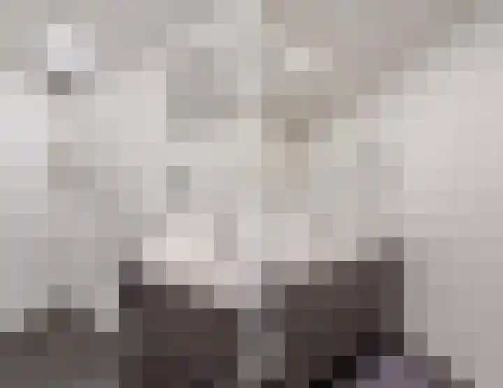 1e Hogeweg 13 C Zeist thumbnail 25