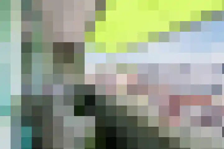 1e Hogeweg 13 C Zeist thumbnail 27