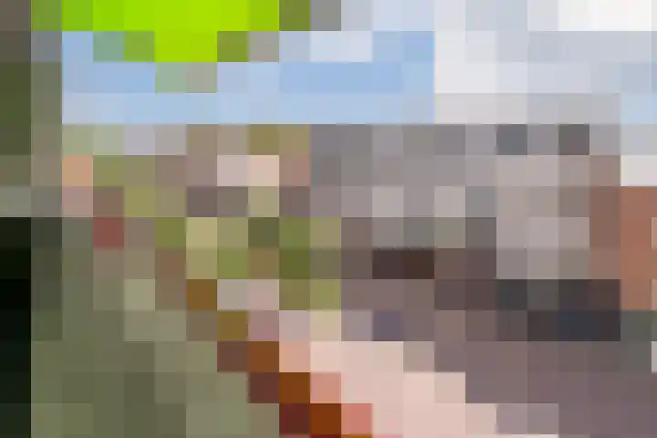 1e Hogeweg 13 C Zeist thumbnail 30