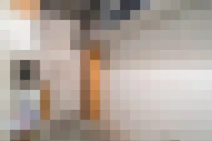 1e Hogeweg 13 C Zeist thumbnail 33