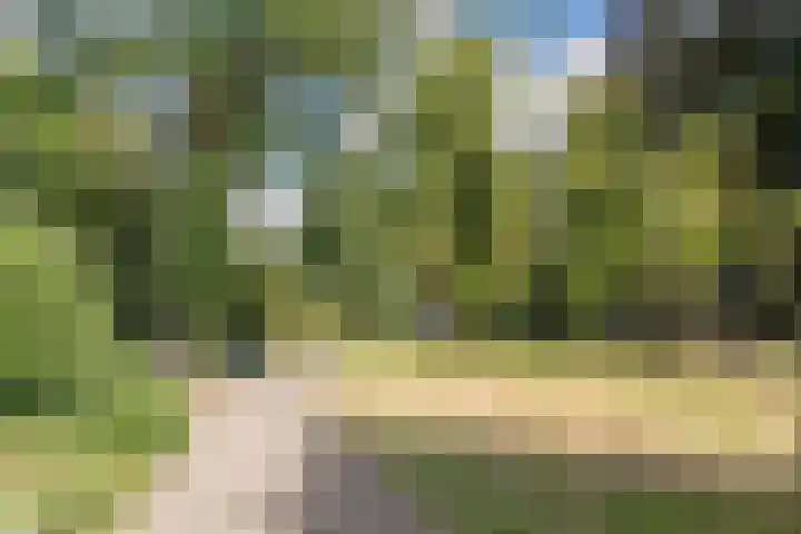 1e Hogeweg 13 C Zeist thumbnail 36