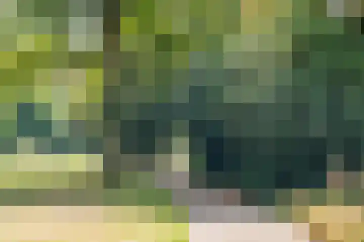 1e Hogeweg 13 C Zeist thumbnail 38