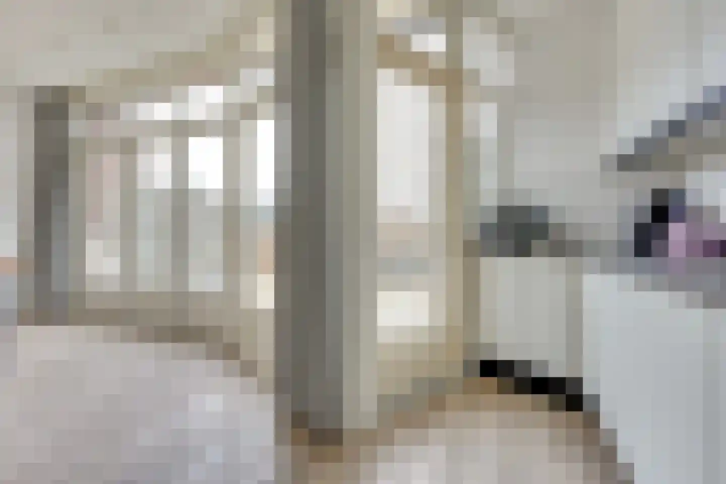 1e Hogeweg 14 A Zeist thumbnail 16