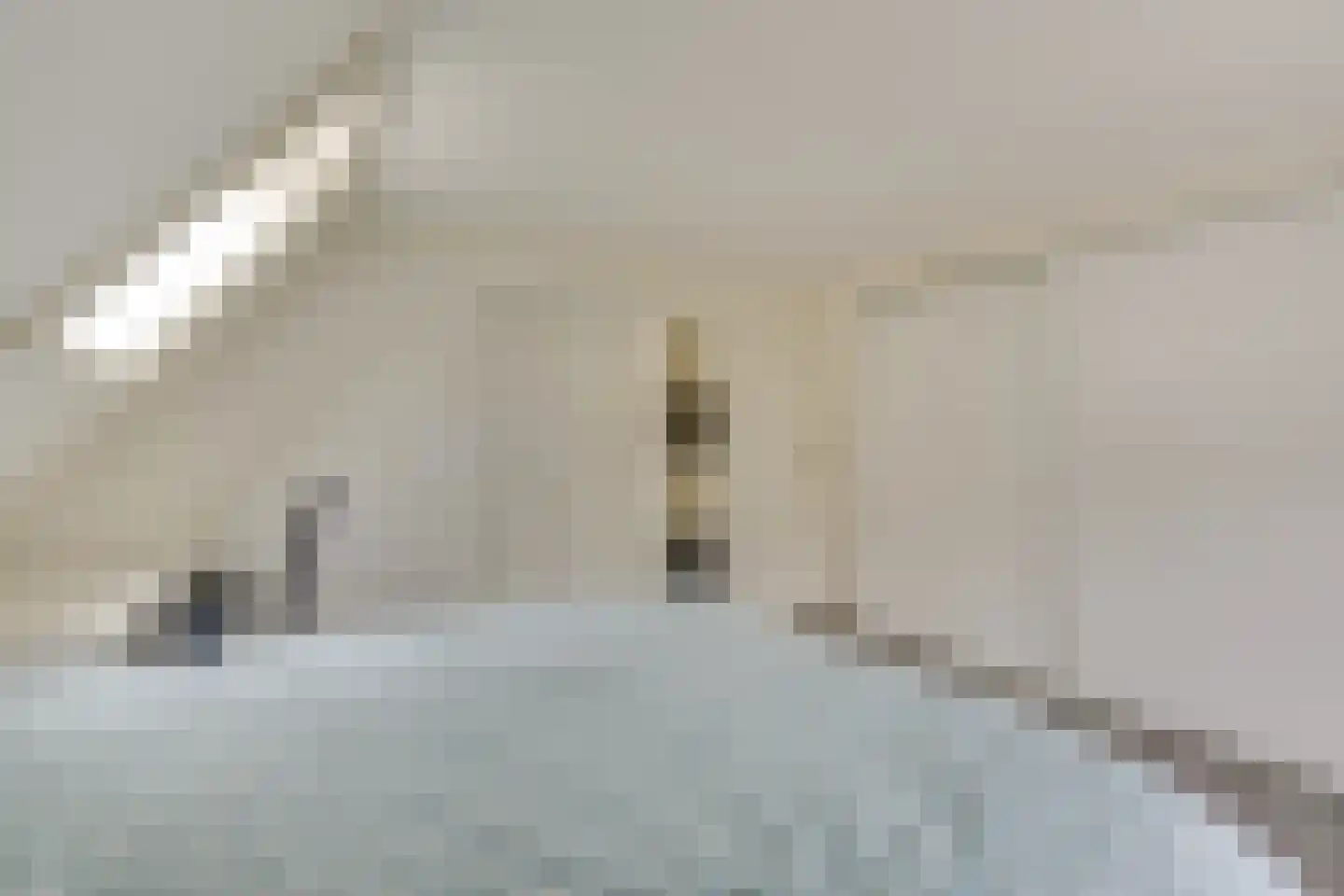 1e Hogeweg 14 A Zeist thumbnail 31