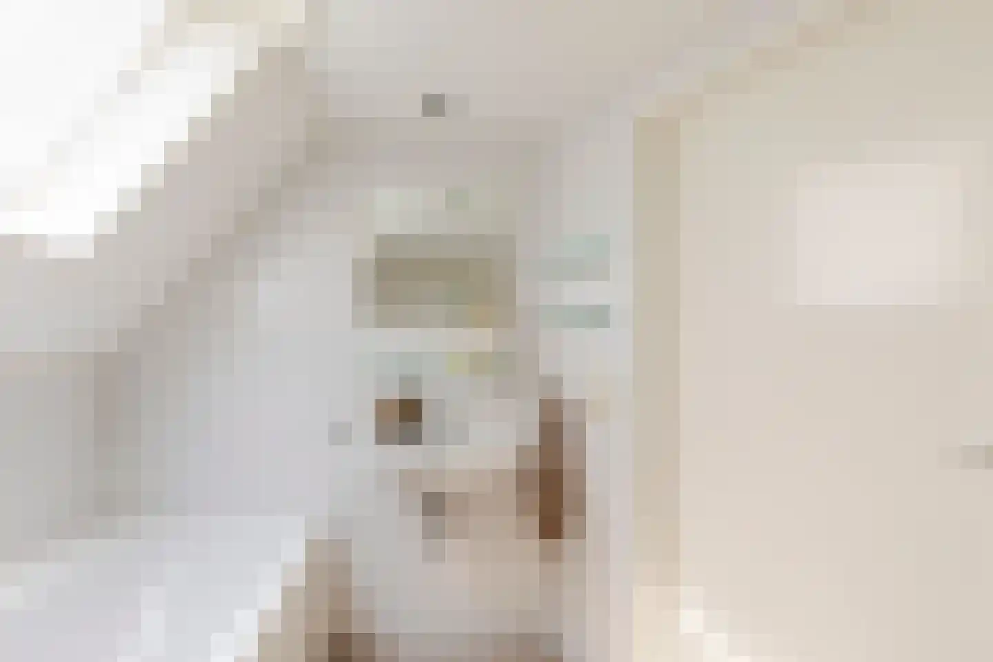 1e Hogeweg 14 A Zeist thumbnail 33