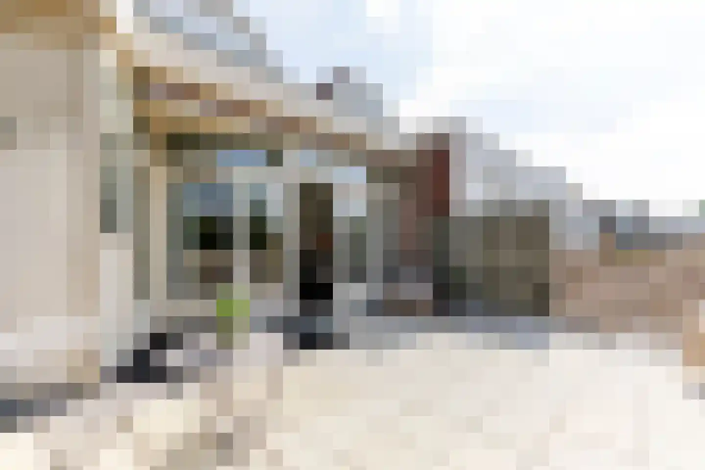 1e Hogeweg 14 A Zeist thumbnail 36