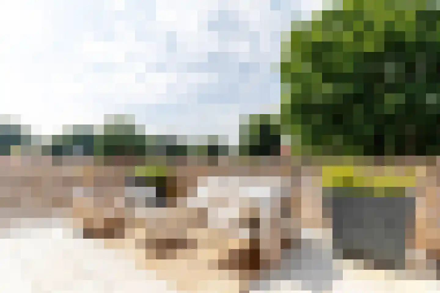 1e Hogeweg 14 A Zeist thumbnail 37