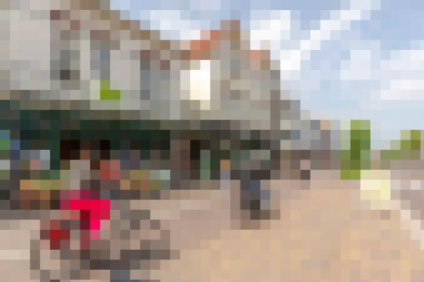 1e Hogeweg 14 A Zeist thumbnail 38