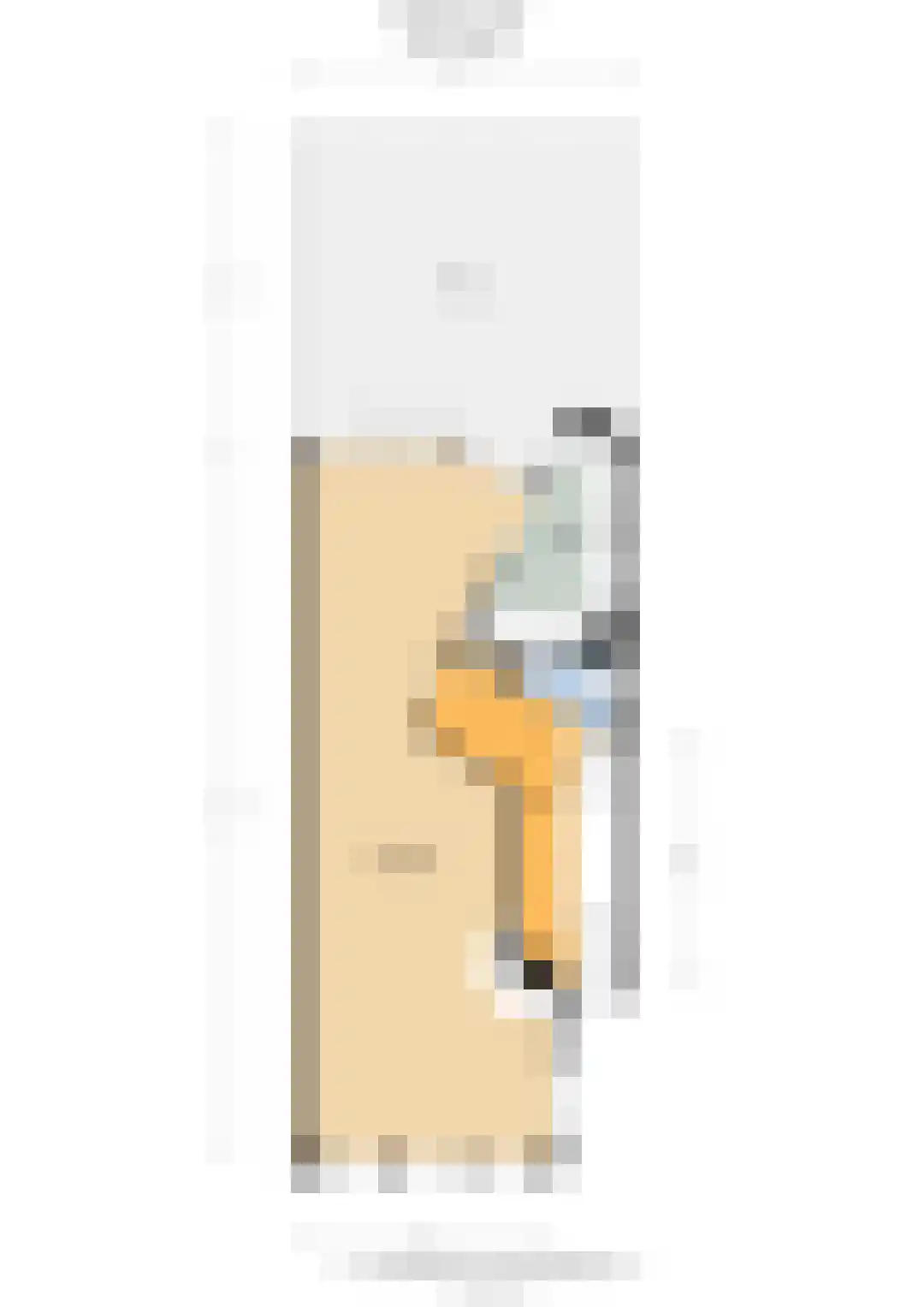 1e Hogeweg 14 A Zeist thumbnail 40
