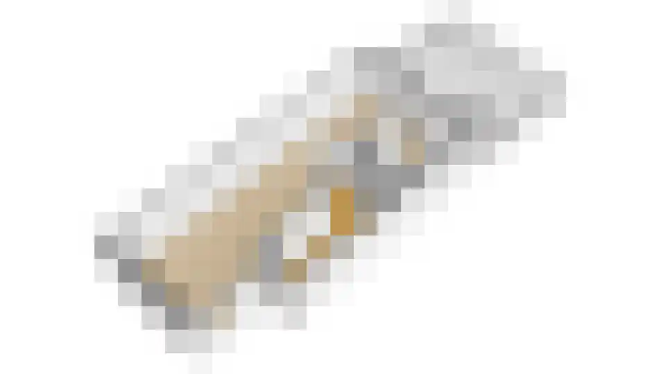1e Hogeweg 14 A Zeist thumbnail 42