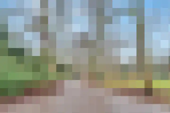 1e Hogeweg 170 Zeist thumbnail 47