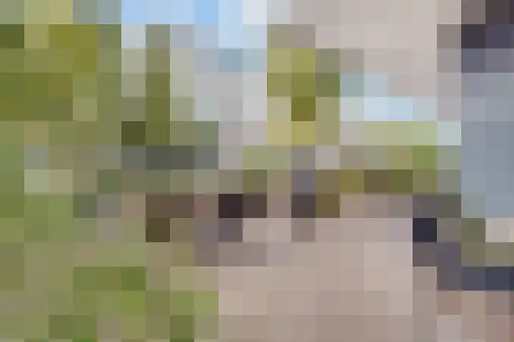 1e Hogeweg 170 Zeist thumbnail 52