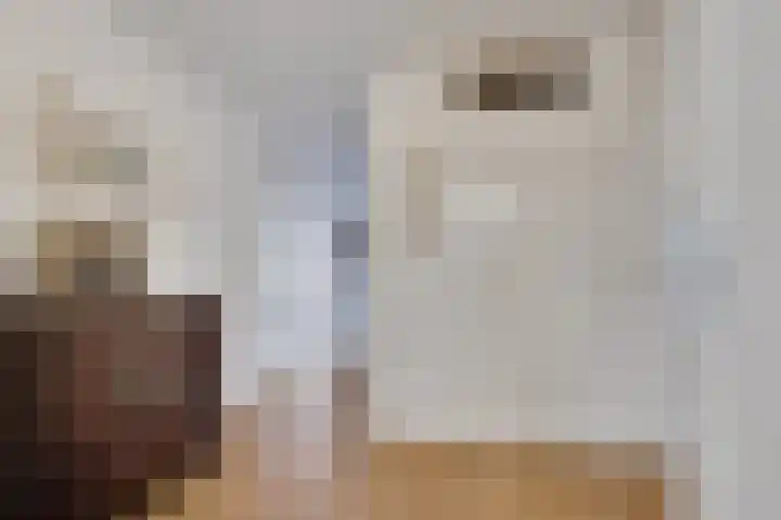 1e Hogeweg 170 Zeist thumbnail 6