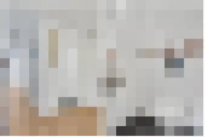 1e Hogeweg 170 Zeist thumbnail 7