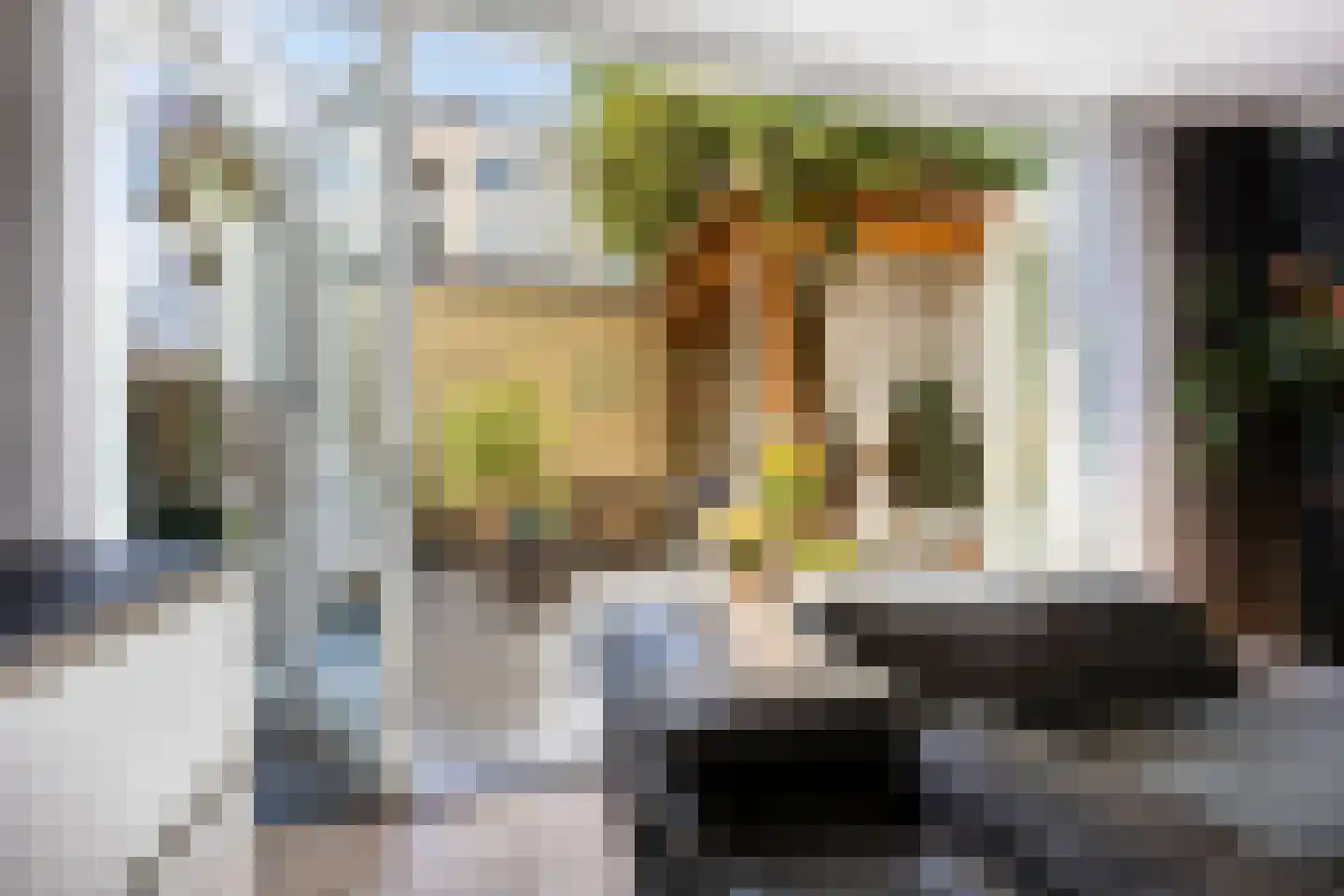 1e Hogeweg 35 Zeist thumbnail 11