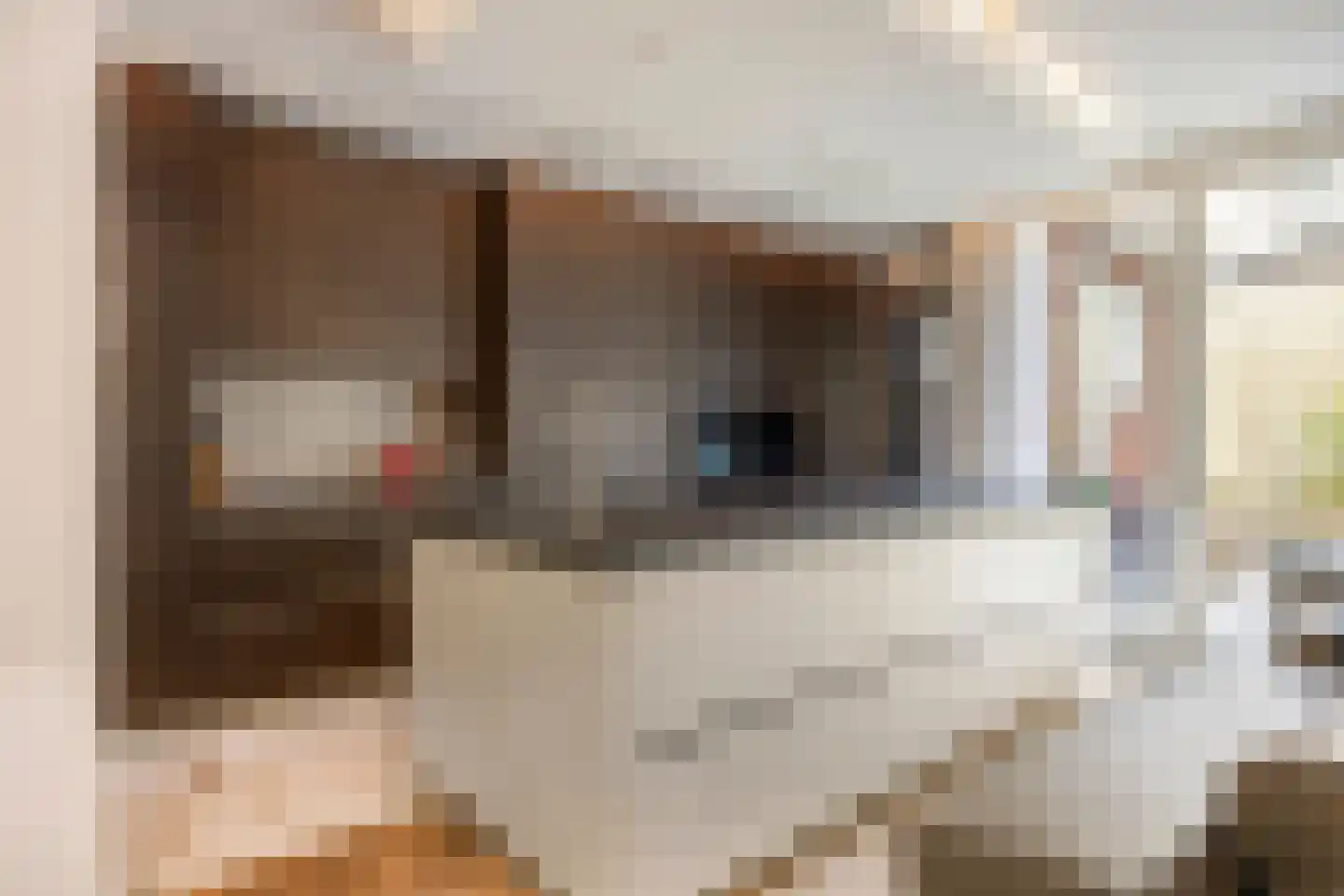 1e Hogeweg 35 Zeist thumbnail 12