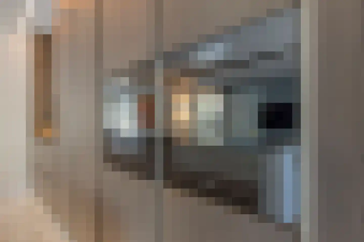 1e Hogeweg 35 Zeist thumbnail 14