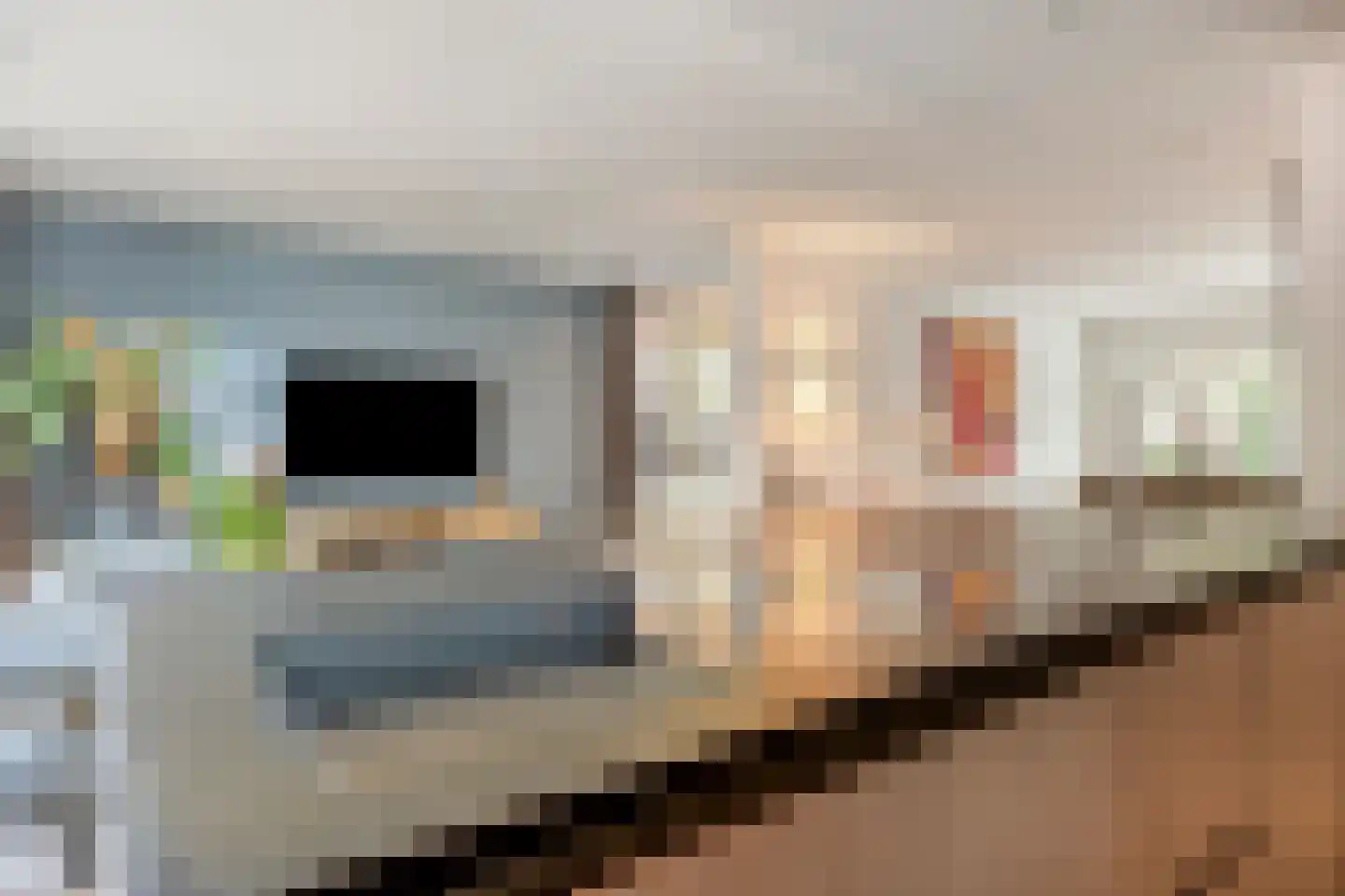 1e Hogeweg 35 Zeist thumbnail 15