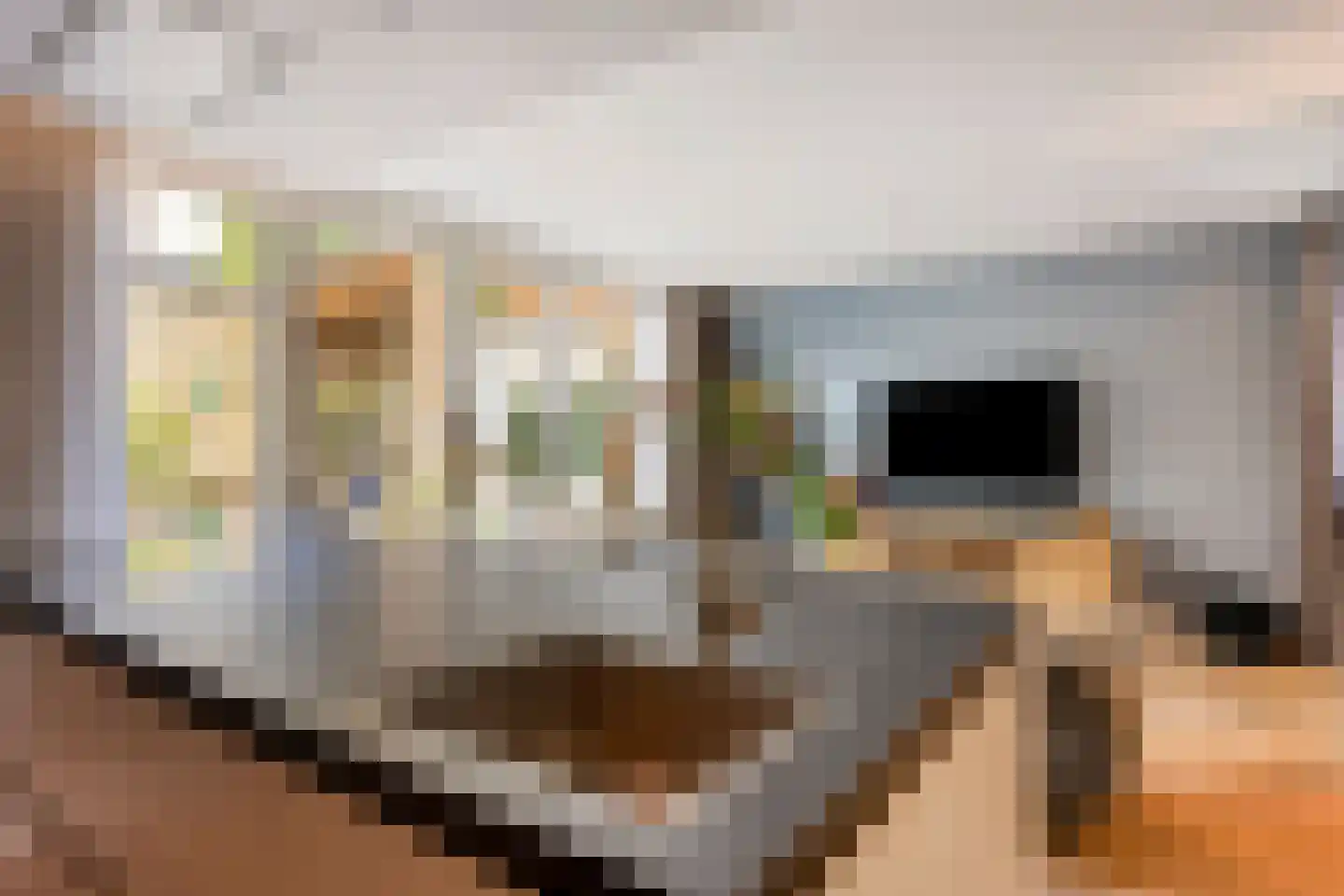 1e Hogeweg 35 Zeist thumbnail 16