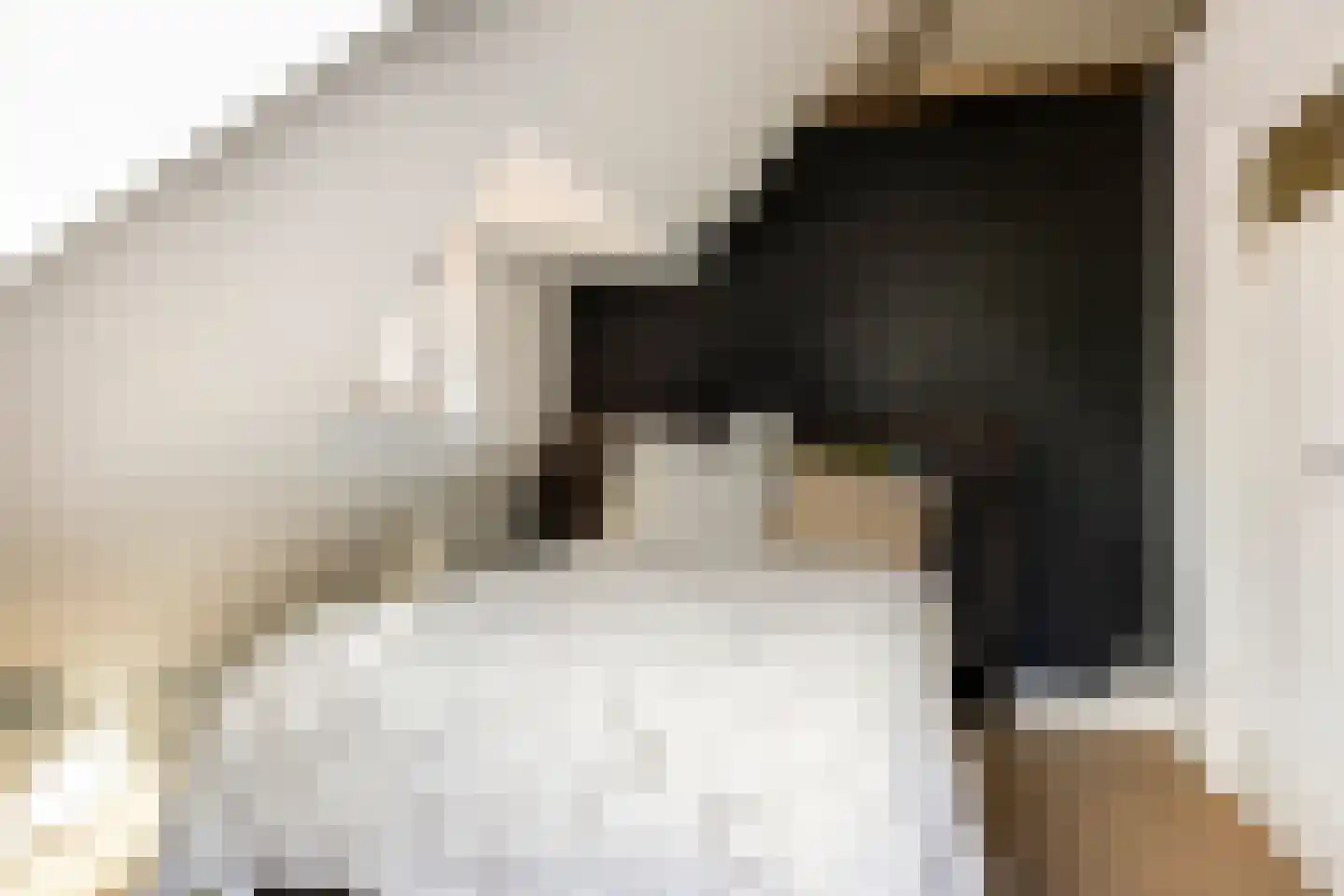 1e Hogeweg 35 Zeist thumbnail 29