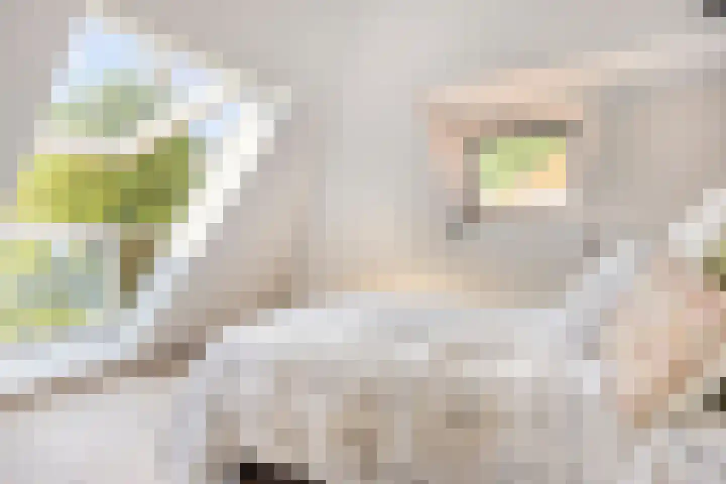 1e Hogeweg 35 Zeist thumbnail 30