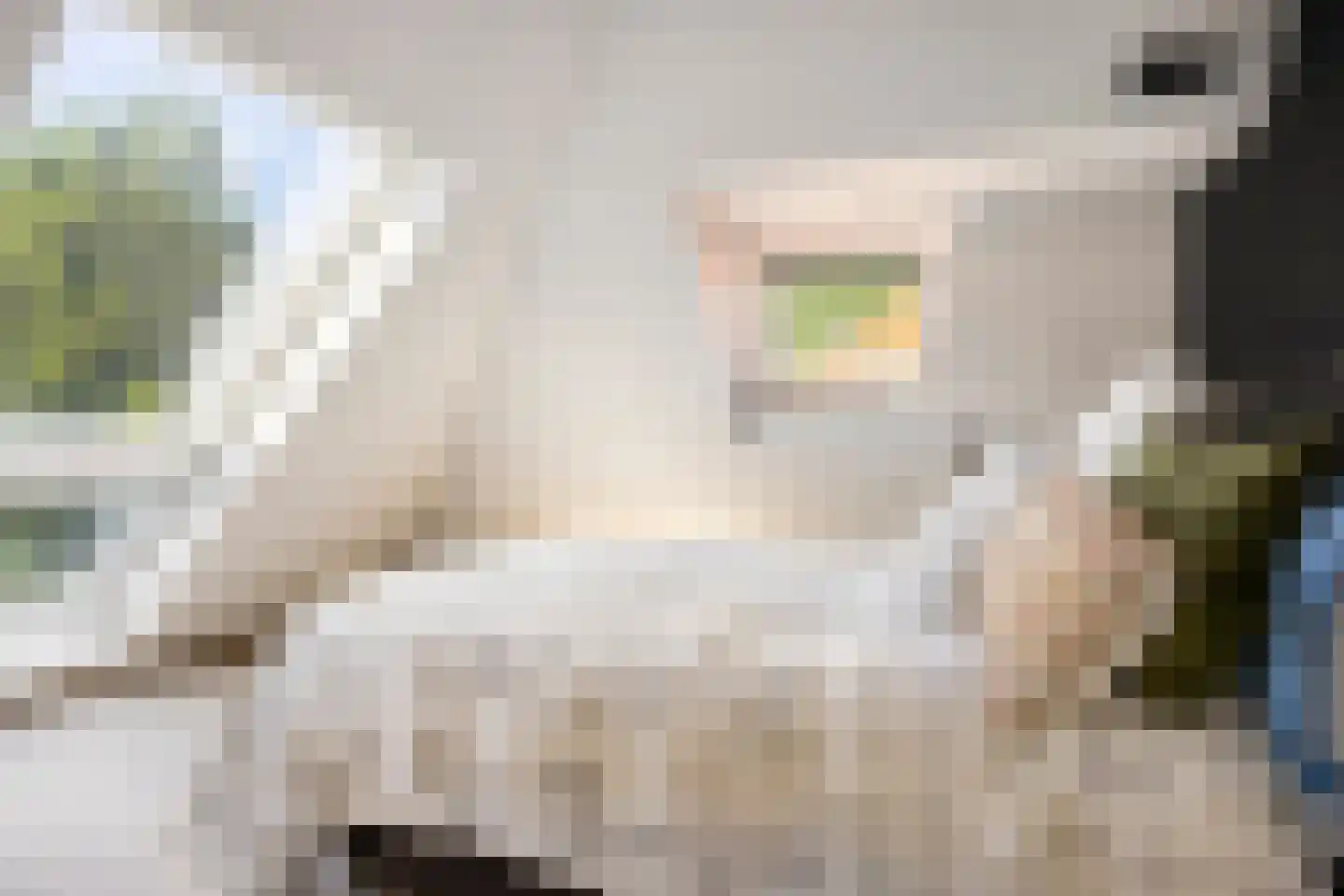 1e Hogeweg 35 Zeist thumbnail 31